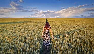 Carefree woman walking a pathway across a green wheat field. Idyllic countryside summer scenery, freedom concept