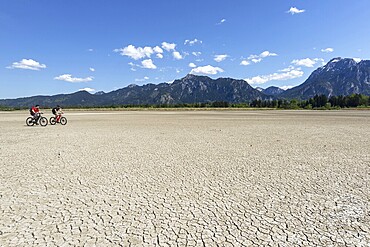 Cracked, dried out ground, waterless Forggensee in spring, behind it Tegelberg massif and Säuling, Ammergau Alps, near Füssen, Ostallgäu, Bavaria, Germany, Europe
