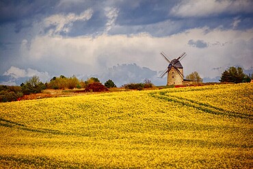 Windmill, Devil's Mill near Warnstedt Harz Mountains