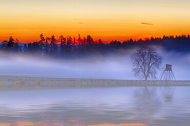 Evening sunset in the Harz Mountains