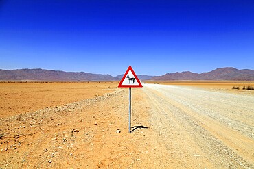 Sign Zebras cross a gravel track in the Namibrand Nature Reserve in Namibia