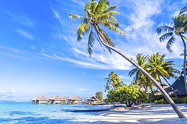 Bora Bora Island, French Polynesia. Web banner in panoramic view this amazing Beach