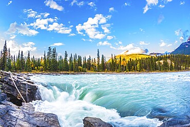 Travel to Jasper Park, Canada. The full-water bubbling waterfall of Athabasca. Clear autumn evening at sunset. The concept of extreme and ecological tourism