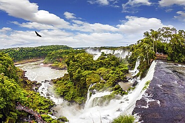 The tropical sun illuminates the water of waterfalls Iguazu. Picturesque basaltic ledges form the famous waterfalls. Travel to Argentina. The concept of active and exotic tourism