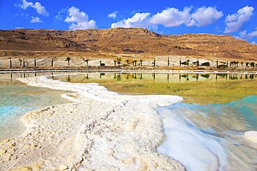 Therapeutic Dead Sea, Israel. The evaporated salt is precipitated by picturesque stripes in shallow water. The concept of medical and ecological tourism