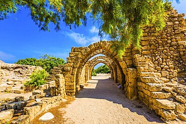 Sunny spring day. Arched passage - covered street. Picturesque ruins of the ancient seaport Caesarea. Israel. Concept of ecological and historical tourism