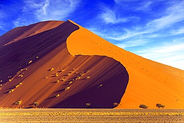 Namibia, South Africa. The concept of extreme and exotic tourism. Sharp border of light and shadow over the crest of the dune. The Namib-Naukluft at sunset