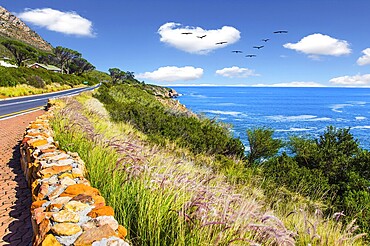 Place where two oceans meet. Triangular flock of migratory birds over the surf. Mysterious South Africa. The concept of extreme and exotic tourism
