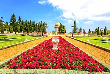 Luxurious flower bed with bright red flowers. Bahai World Center. Pilgrimage center and popular tourist destination. The slope of Mount Carmel. Haifa, Israel