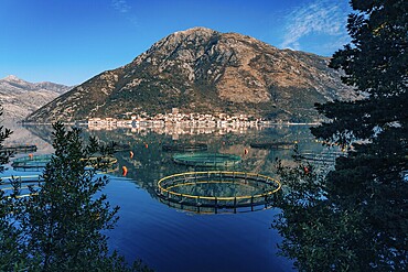 Fish farm in Montenegro. The farm for breeding and fish farming in the Bay of Kotor