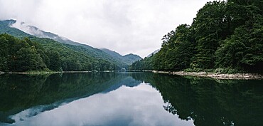 Lake surrounded by a green forest in the Biogradska Gora park. Montenegro.