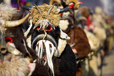 Participants take part in the International Festival of Masquerade Games Surva. The festival promotes variations of ancient Bulgarian and foreign customs and masks. Kukeri