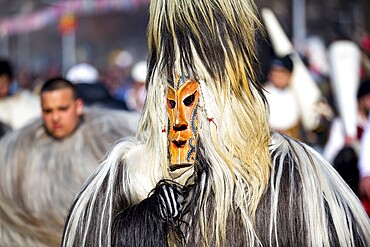 Participants take part in the International Festival of Masquerade Games Surva. The festival promotes variations of ancient Bulgarian and foreign customs and masks