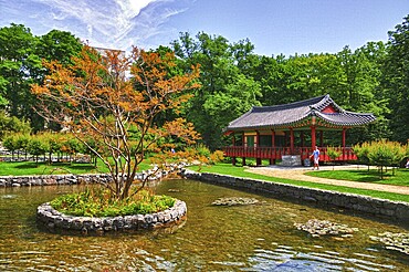 Korean Pagoda with small lake in the Park