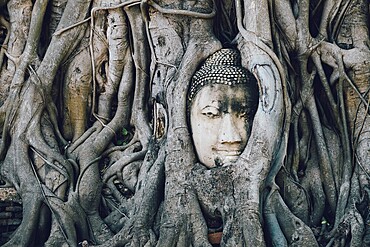 Buddha statue trapped in tree roots at Wat Maha That, Ayutthaya, Thailand