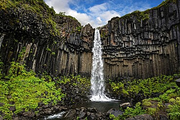 Svartifoss waterfall in the Skaftafell National Park Iceland during a summer day