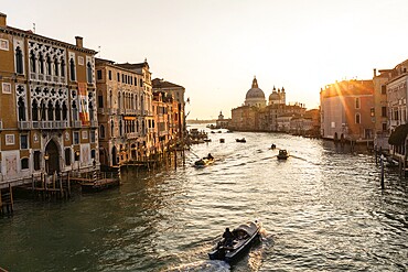 Morgenstimmung bei Sonnenaufgang, Canal Grande und die Basilika Di Santa Maria Della Salute, Venedig, Italien
