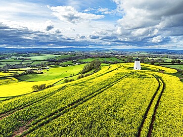 Rapeseed fields and Farms over Devon Windmill from a drone, Torquay, Devon, England, United Kingdom