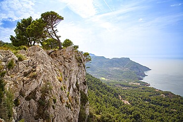 An impressive panorama of a rock face with trees above a coastline and the blue sea, view over cliffs Majorca in the west, Tramuntana Mountains, near Valldemossa, Majorca, Spain