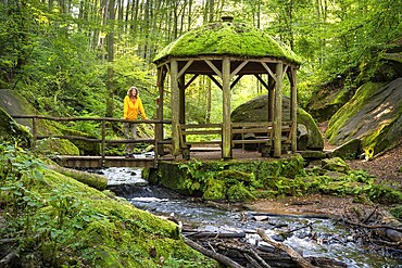 Hiker in the pavilion, the Moosalb stream in the forest in the Karlstal Gorge. Karlstal Gorge nature reserve, Karlstal, Palatinate Forest, Rhineland-Palatinate, Germany