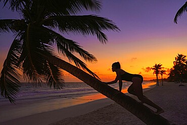 Girl silhouette on palm tree Caribbean sunset beach of Riviera Maya Mexico