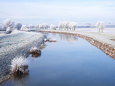 The river Unstrut in the Unstrut valley in winter, fields and trees covered with hoarfrost, behind Wendelstein Castle, Memleben, Saxony-Anhalt, Germany