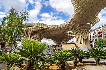 Setas de Seville, mushroom-shaped wooden platform, Seville, Andalusia, Spain