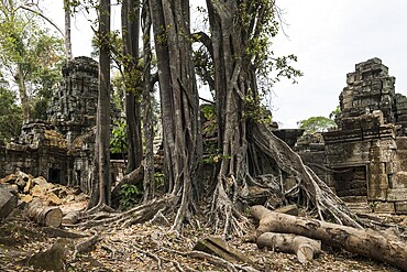 Prea Khan, Angkor Wat, Angkor, UNESCO World Heritage Site, Siem Reap, Cambodia, Indochina, Southeast Asia