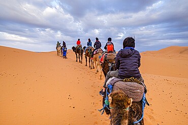 Tourist camel caravan on Erg Chebbi, Merzouga, Taffilalet, Morocco