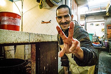 Killing of chickens, souk of Marrakech, Morocco, north of Africa, African continent
