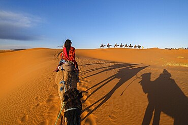 Tourist camel caravan on Erg Chebbi, Merzouga, Taffilalet, Morocco
