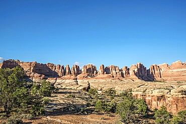 Pinnacles, rock formations The Needles District, Canyonlands National Park, Utah, USA
