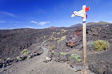 Trail Ruta de los Volcanes, Volcano Teneguia left, San Antonio volcano center, Monumento Natural de los Volcanes de Teneguía, La Palma, Canary Islands, Spain