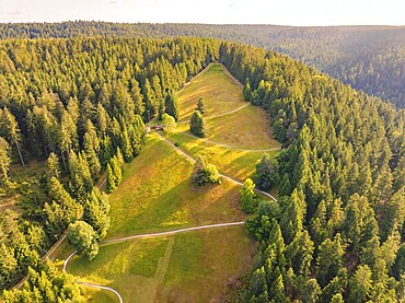 Wide view of a green forest landscape with meadow and paths, Retro Freizeitpark Poppeltal giant slide, Enzklösterle, Black Forest, Germany