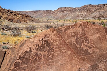 Depictions of animals on a rock slab, petroglyphs, rock engravings, Twyfelfontein, Kunene, Namibia