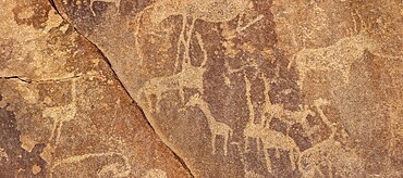 Detail, Depictions of animals on a rock slab, petroglyphs, rock engravings, Twyfelfontein, Kunene, Namibia