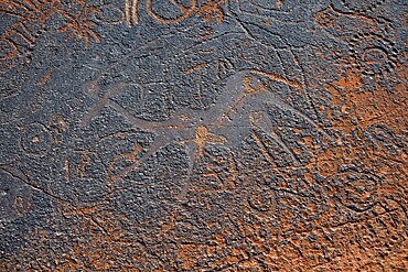 Detail, Depictions of animals and patterns on a rock slab, petroglyphs, rock engravings, Twyfelfontein, Kunene, Namibia