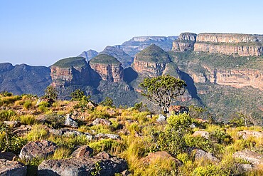 Blyde River Canyon with Three Rondawels peak, view of canyon and table mountains, canyon landscape, Three Rondavels Viewpoint, Panorama Route, Mpumalanga, South Africa