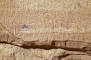 Prehistoric rock carving, goats, Desert, Wadi Rum, Jordan