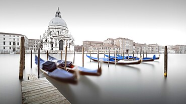 Gondolas moored on the Grand Canal with the Cathedral of Santa Maria della Salute in the background in Venice, Italy