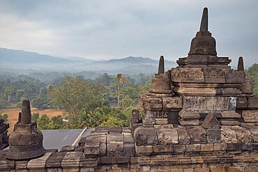 Stone temple structures with a forested mountain landscape in the background, Candi Borobudur, Borobudur, Java, Indonesia