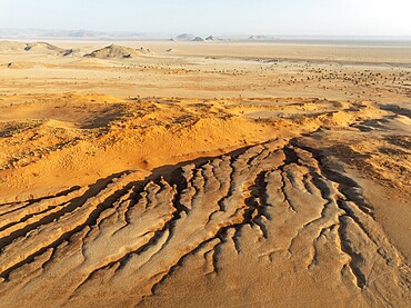 Canyon, sand dunes and camelthorn trees (Vachellia erioloba) in the Tsondab Valley in the Namib Desert. In the distance the Tsondab Valley Lodge. Aerial view. Drone shot. Namibia