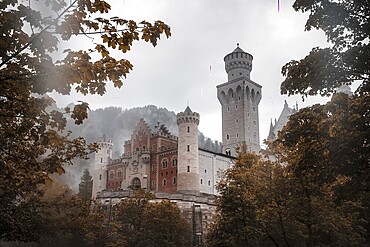 The romantic Neuschwanstein Castle framed by autumn leaves in the mist, Schwangau, Bavaria