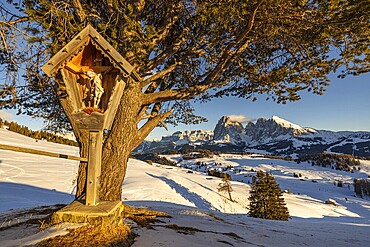 Alpe di Siusi at the Contrin hut, Alpe di Siusi, South Tyrol, Italy