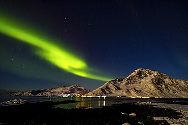 Northern Lights at Nappstraumen, Lofoten, Nordland, Norway