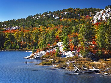 Beautiful fall nature scenery of lake Lumsden at Killarney Provincial Park, Ontario, Canada