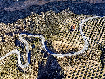 Deep canyon at the Gorafe desert, winding road to village Gorafe, aerial view, Gorafe Desert, UNESCO Granada Geopark, Granada province, Andalusia, Spain