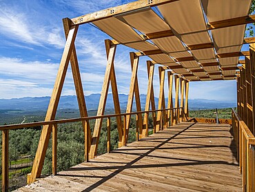 Wooden viewing platform, city Ubeda, view over endless olive tree fields to distant mountains, Ubeda, Andalusia, Spain