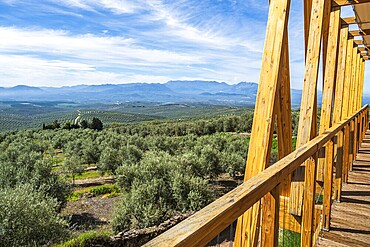 Wooden viewing platform, city Ubeda, view over endless olive tree fields to distant mountains, Ubeda, Andalusia, Spain
