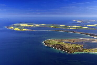 Hiddensee Island, in the background the island of Rügen with rapeseed fields, Mecklenburg-Western Pomerania, Germany, aerial photo from a small aircraft, 27.04.2025  Hiddensee Island, in the background the island of Rügen with rapeseed fields, Mecklenburg-Western Pomerania, aerial photo from a small aircraft, April 27, 2025 ++ Minimum fee 50, - euro ++